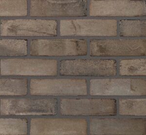 dolphin grey brick