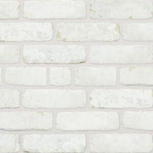 tumbled white brick